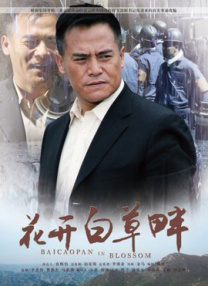 成年人免费看的视频